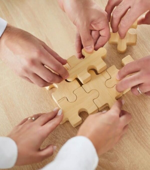 o echipa in teambuilding